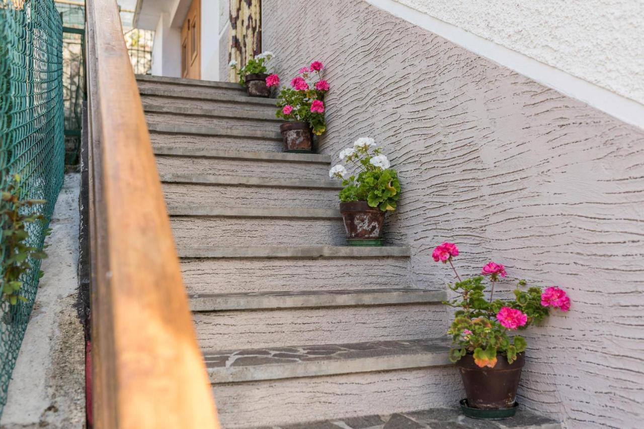 Casa Al Sole Daire Bresimo Dış mekan fotoğraf